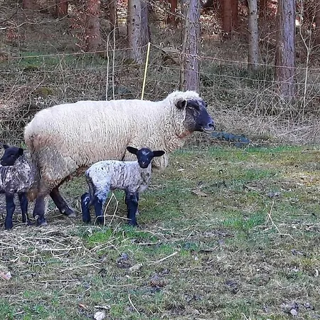 Διαμέρισμα Und *